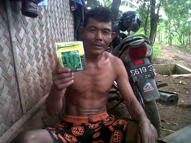Bp. Manta Yg Biasa Tanam Wira F1 Min 200 Areu.